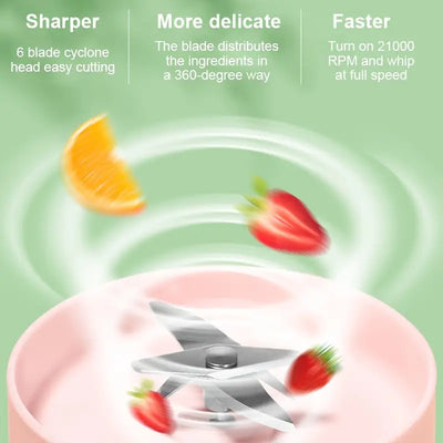 Fruit Juicer